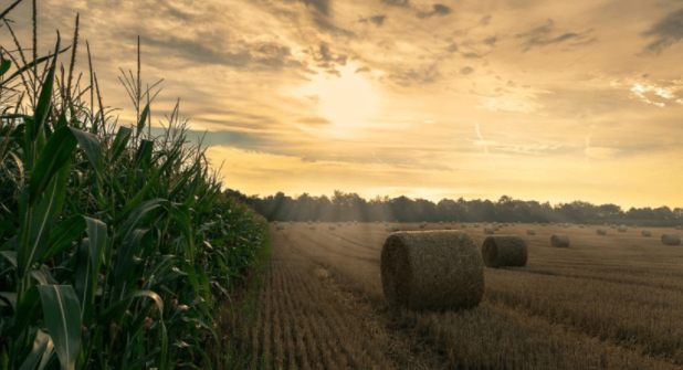 農(nóng)業(yè)物聯(lián)網(wǎng)是指由傳感器節(jié)點組成的相應監(jiān)控網(wǎng)絡