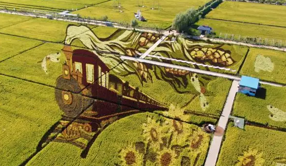 以稻為“媒” 觀光農業啟新程