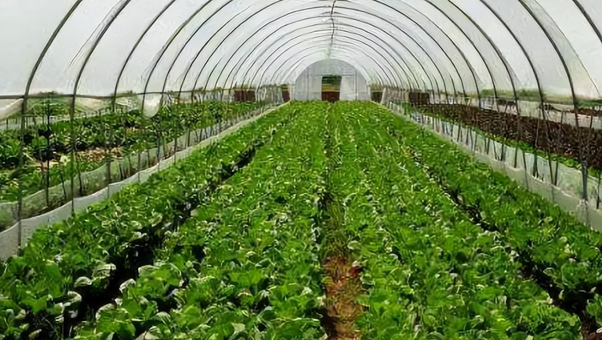 物聯網智能灌溉