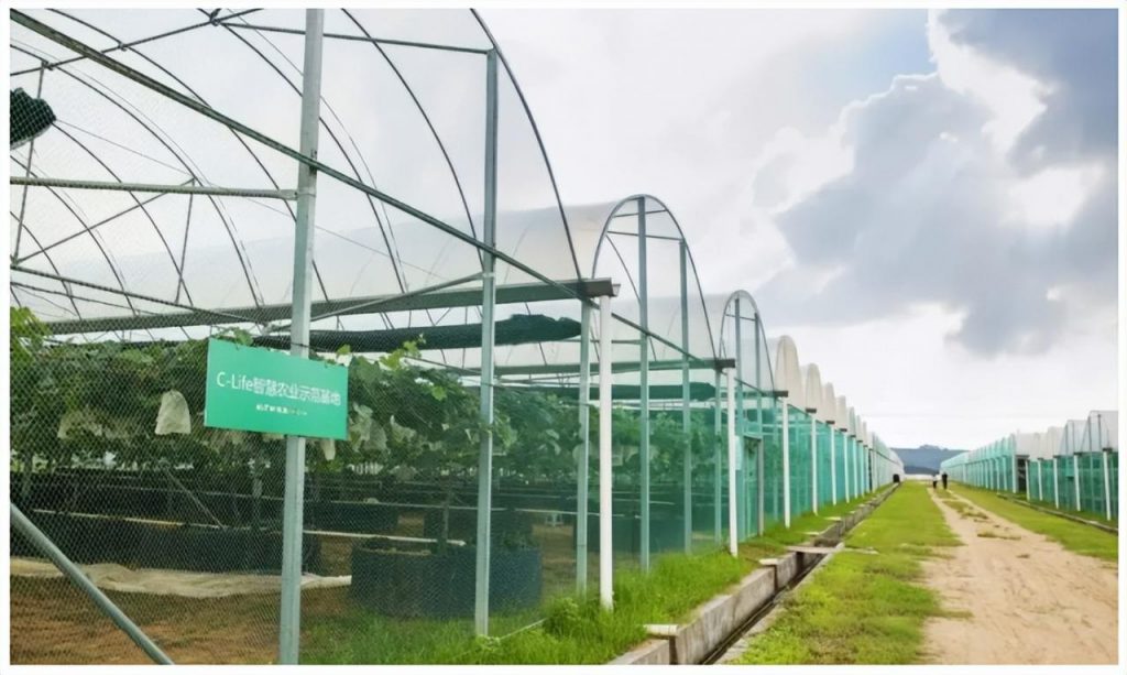 建立現代農業科研體系，提升影響力