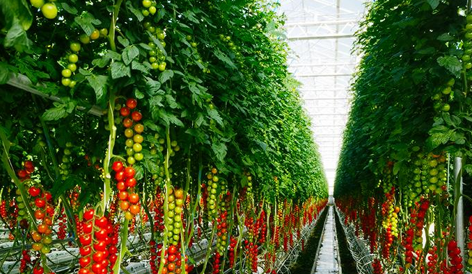 綠色示范工廠，主要為了生產(chǎn)和科研