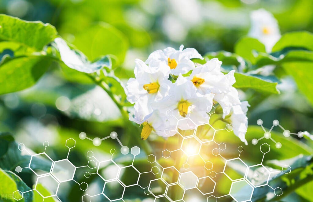 農業新技術、新理念正在徐徐展開