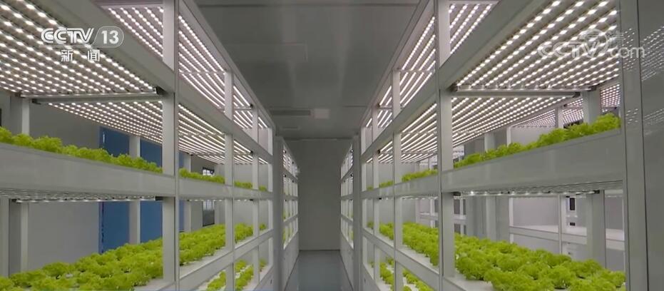 江蘇南通通州區的智慧農業基地