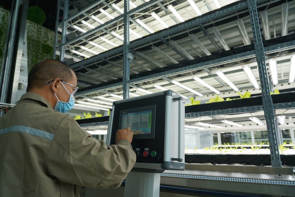 9月20日,在成都市新津區的中國農科院立體農場,工作人員在操作自動化控制器。