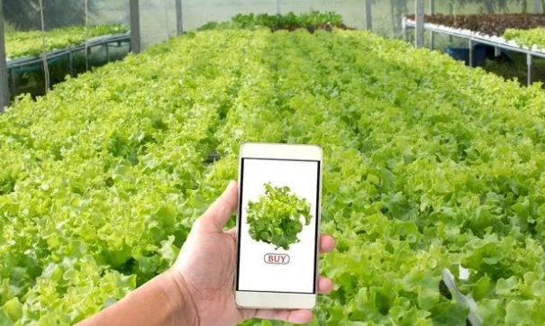 物聯(lián)網(wǎng)技術(shù)與傳感器技術(shù)相結(jié)合,實(shí)現(xiàn)可視化遠(yuǎn)程診斷、遠(yuǎn)程控制