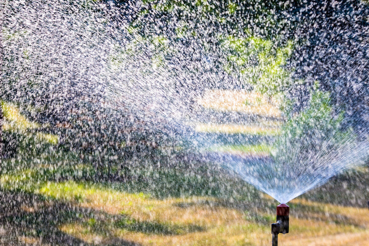 物聯網智能灌溉控制