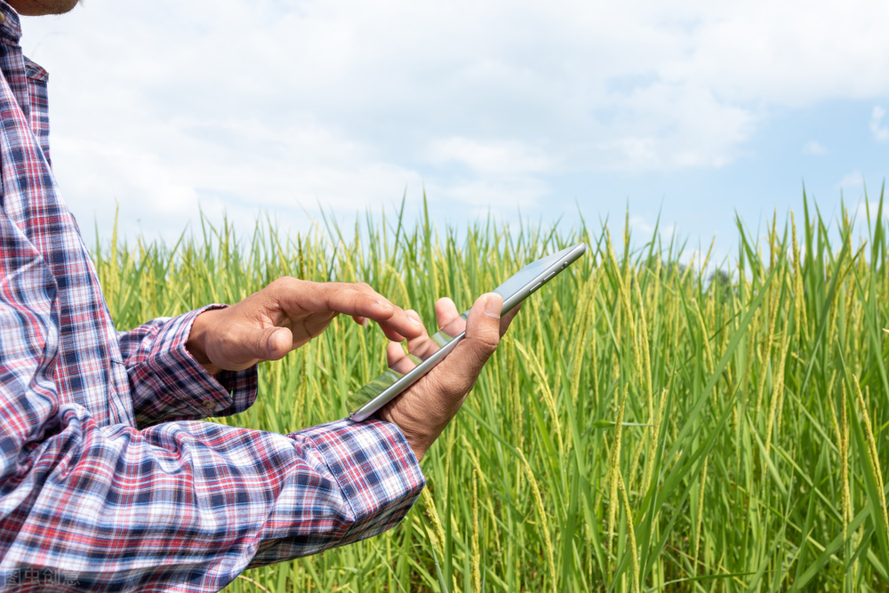 影響農業室內空氣濕度的主要因素