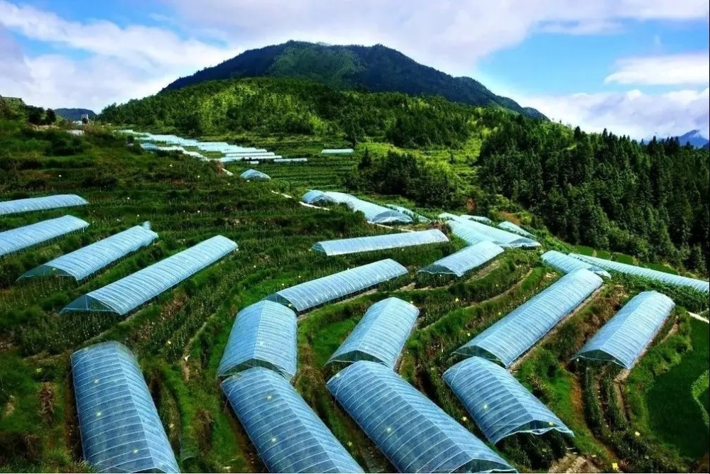 武隆區是典型的喀斯特地貌,嚴重制約當地農業的發展