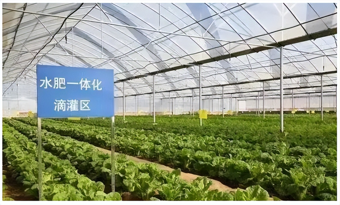 簡單便捷,服務于民