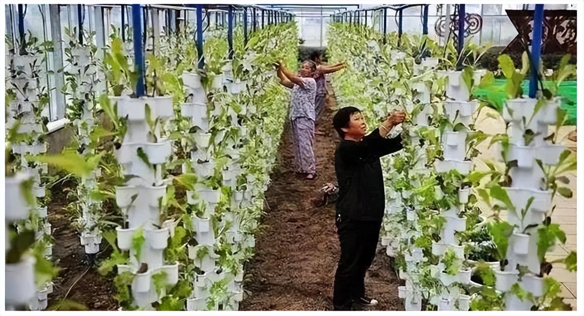 智慧農業,可以讓分工更加確定