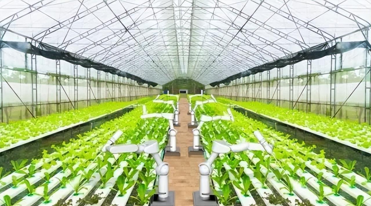 建設(shè)智慧農(nóng)業(yè)是釋放數(shù)據(jù)生產(chǎn)要素價(jià)值的必然選擇