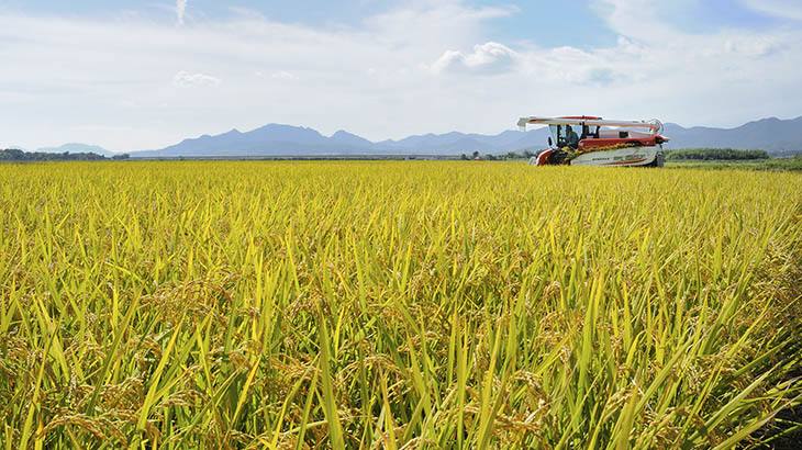 河北：科技融入田間地頭 繪就智慧秋收圖景