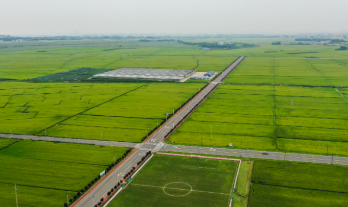 常德漢壽：“三高”并舉建設高標準農田省級示范片