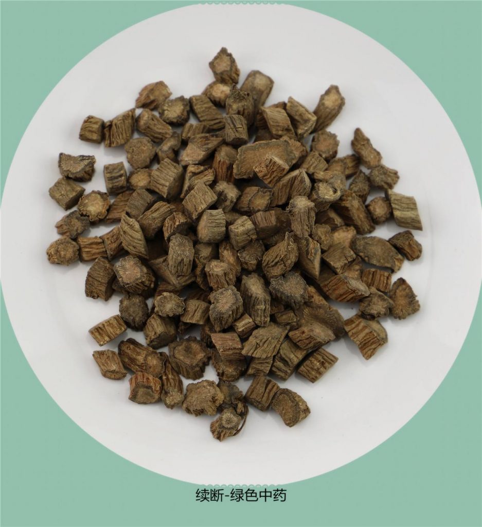 中藥材續(xù)斷的栽培技術(shù)要點