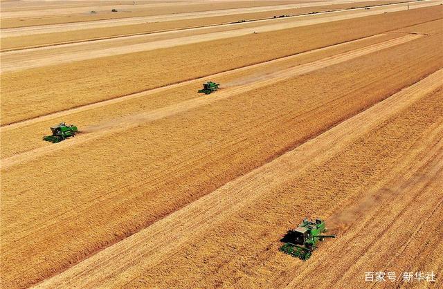 小麥?zhǔn)崭? /></p>
<p>&nbsp;</p>
<p>在河南省黃泛區(qū)農(nóng)場(chǎng)九分場(chǎng)的麥田里，農(nóng)機(jī)手操作收割機(jī)收獲小麥(無人機(jī)照片，6月6日攝)。新華社記者 李安 攝</p>
<p>&nbsp;</p>
<p>近年來，我國“菜籃子”產(chǎn)品總體實(shí)現(xiàn)了穩(wěn)產(chǎn)保供，但也存在一些時(shí)候一些地區(qū)菜價(jià)、肉價(jià)波動(dòng)較大的問題。對(duì)此會(huì)議強(qiáng)調(diào)，強(qiáng)化“菜籃子”市長負(fù)責(zé)制，穩(wěn)定生豬生產(chǎn)，確保畜禽水產(chǎn)和蔬菜有效供給。</p>
<p>&nbsp;</p>
<p><img decoding=