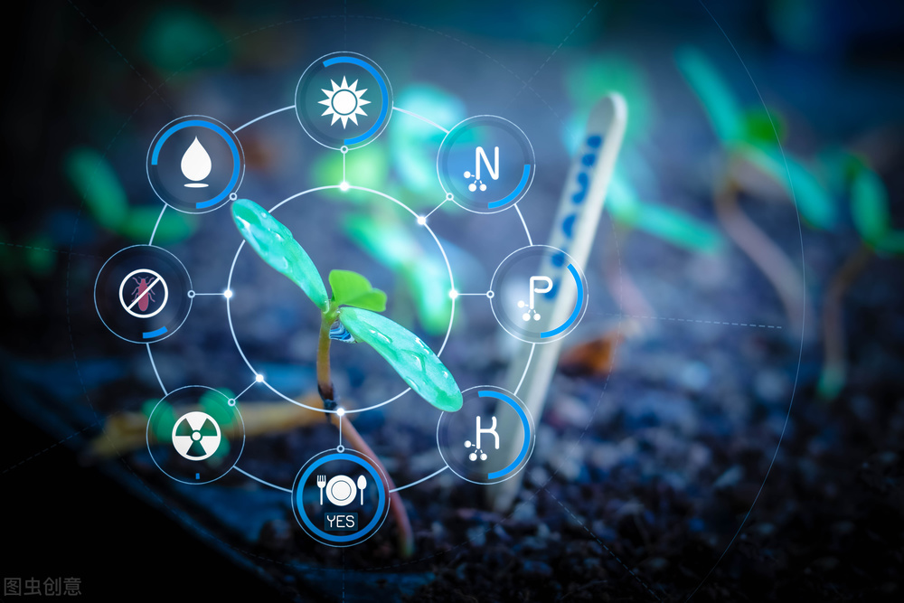 物聯網技術成為農業的第一生產力