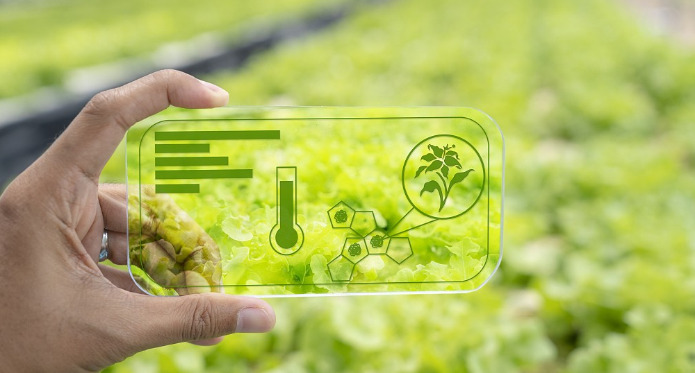 物聯(lián)網(wǎng)是推動(dòng)信息化與農(nóng)業(yè)現(xiàn)代化融合的重要切入點(diǎn)