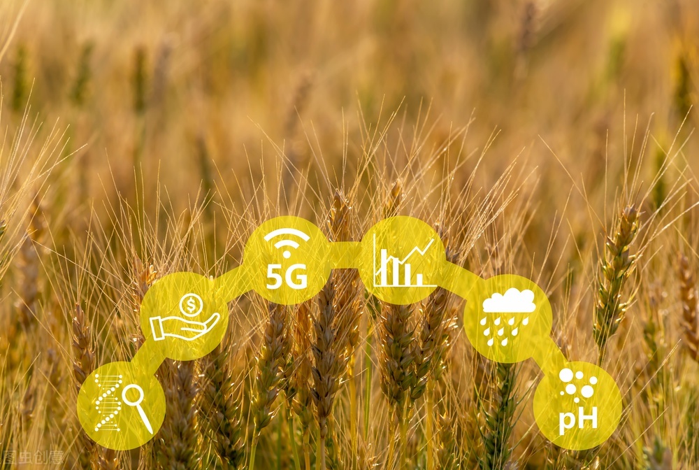 科技助農，智慧興農