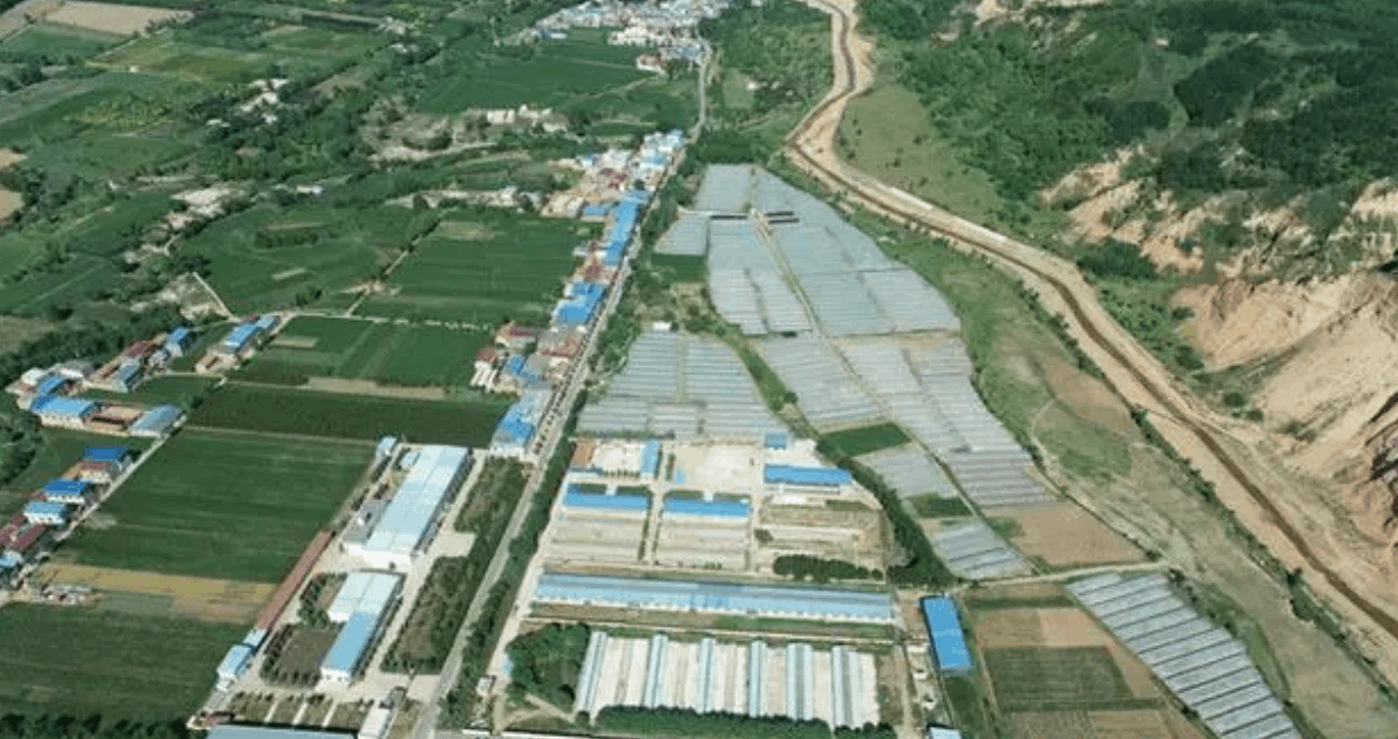 蔬菜產(chǎn)業(yè)鏈