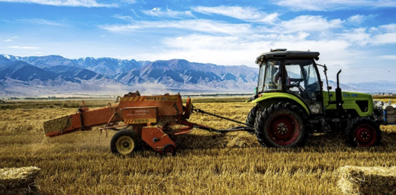 常德探索水稻秸稈產業化利用新模式