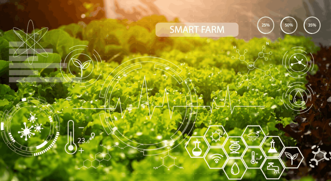 農業數字化是農業的未來式