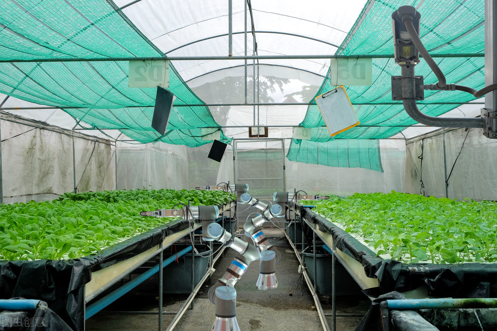 減少環境因素,為農業增產保質