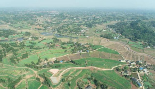 丹山鎮(zhèn)高標(biāo)準(zhǔn)農(nóng)田