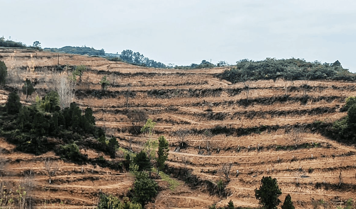 人勤地生金,沃野繪幸福