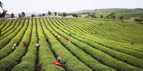 生態產業園模式