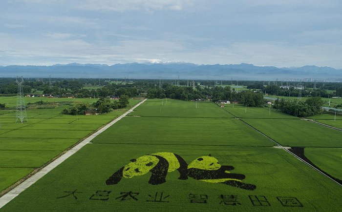 數(shù)字農(nóng)業(yè)平臺(tái)