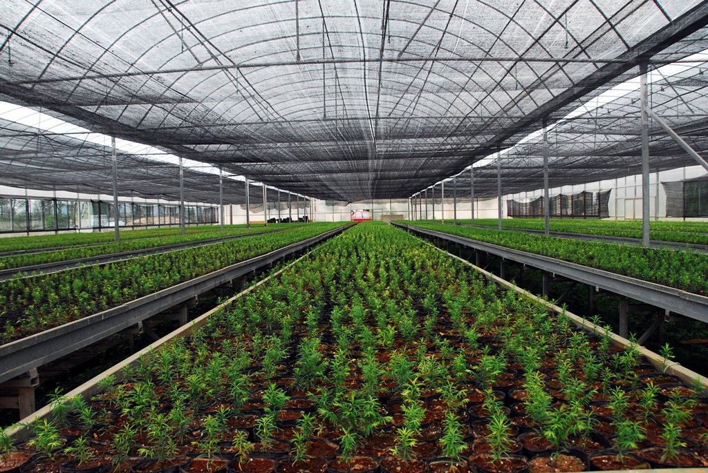 數字化溫室大棚