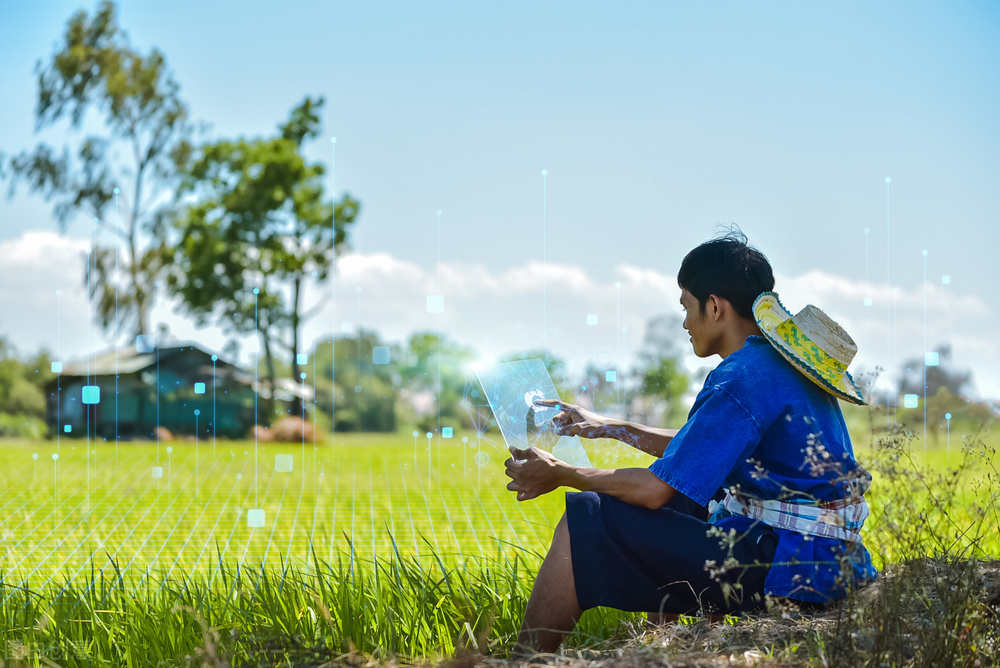 立足本地農業和信息產業發展實際，細化項目布局