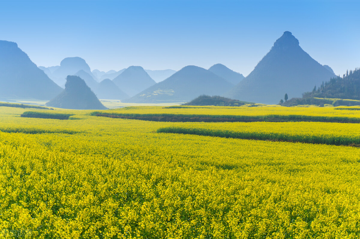 我國智慧農(nóng)業(yè)的發(fā)展仍處于初級階段