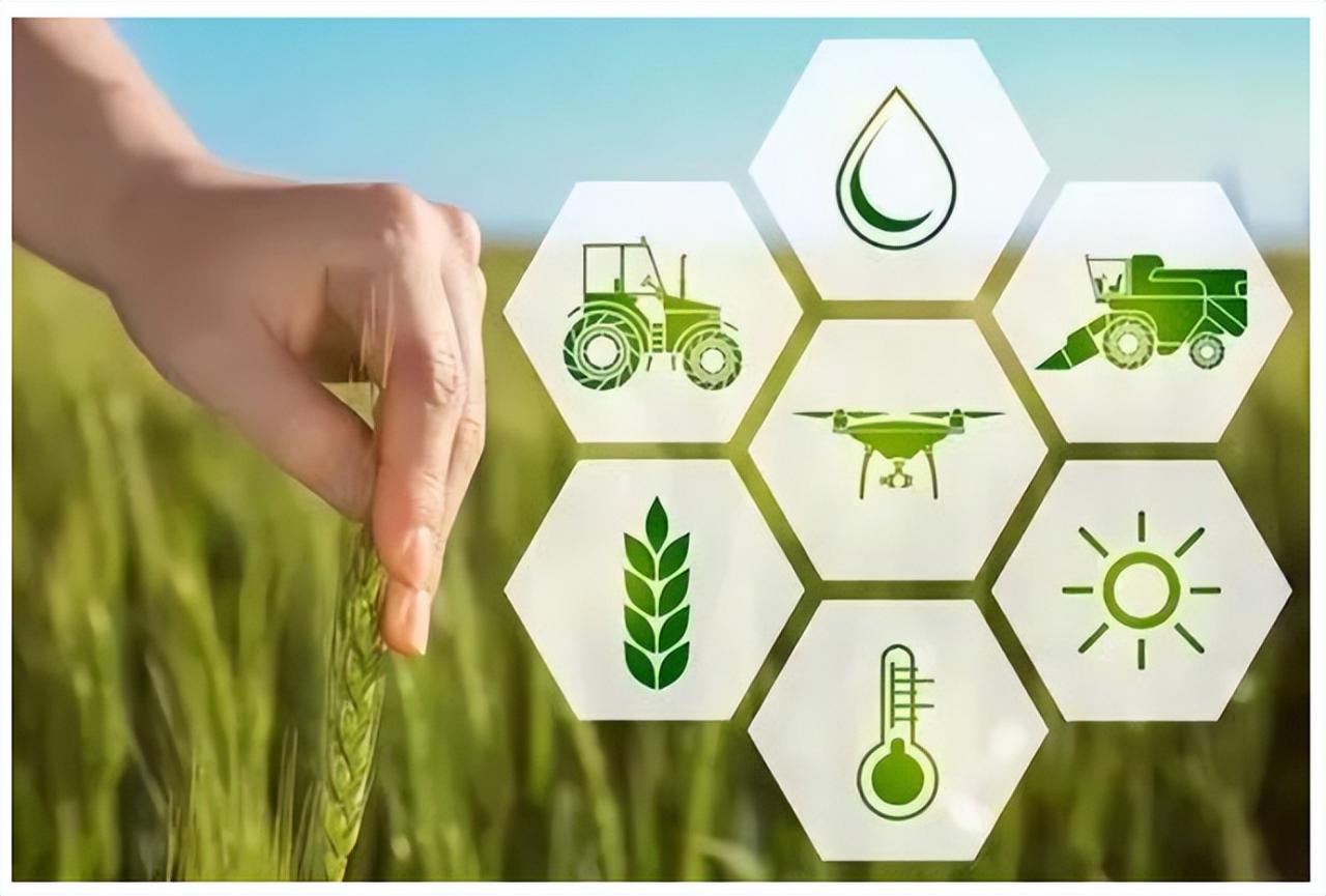 以政府為主導,推動區域發展的模式