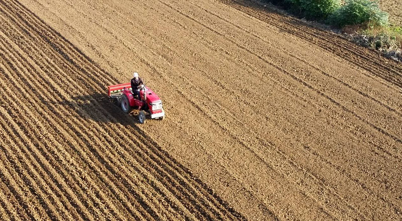 安慶：加快秋種進度 確保糧食安全