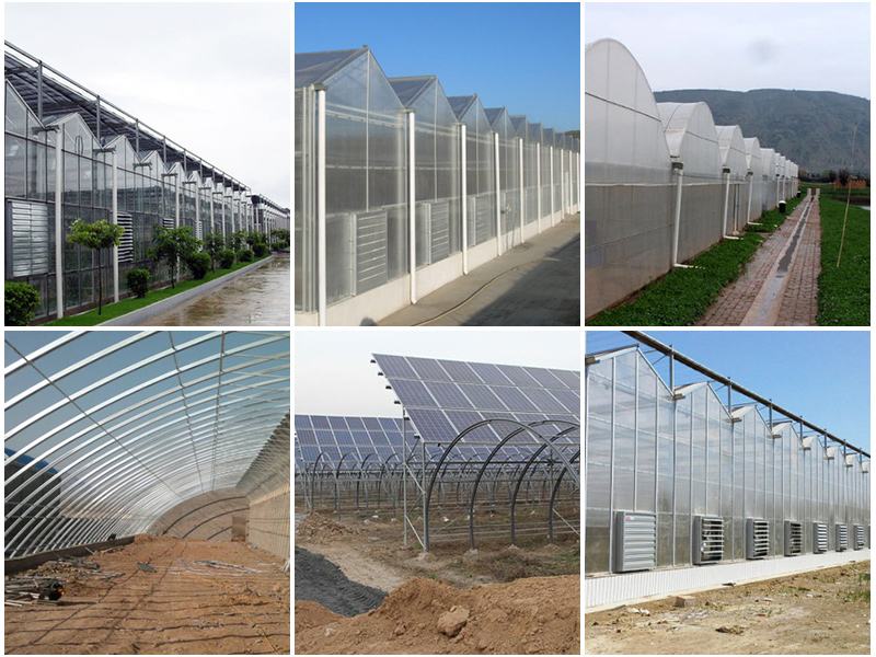 各類型溫室大棚的優(yōu)缺點對比
