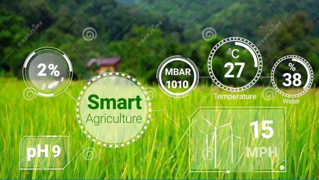 從農博會中，看數字中國下的農業發展