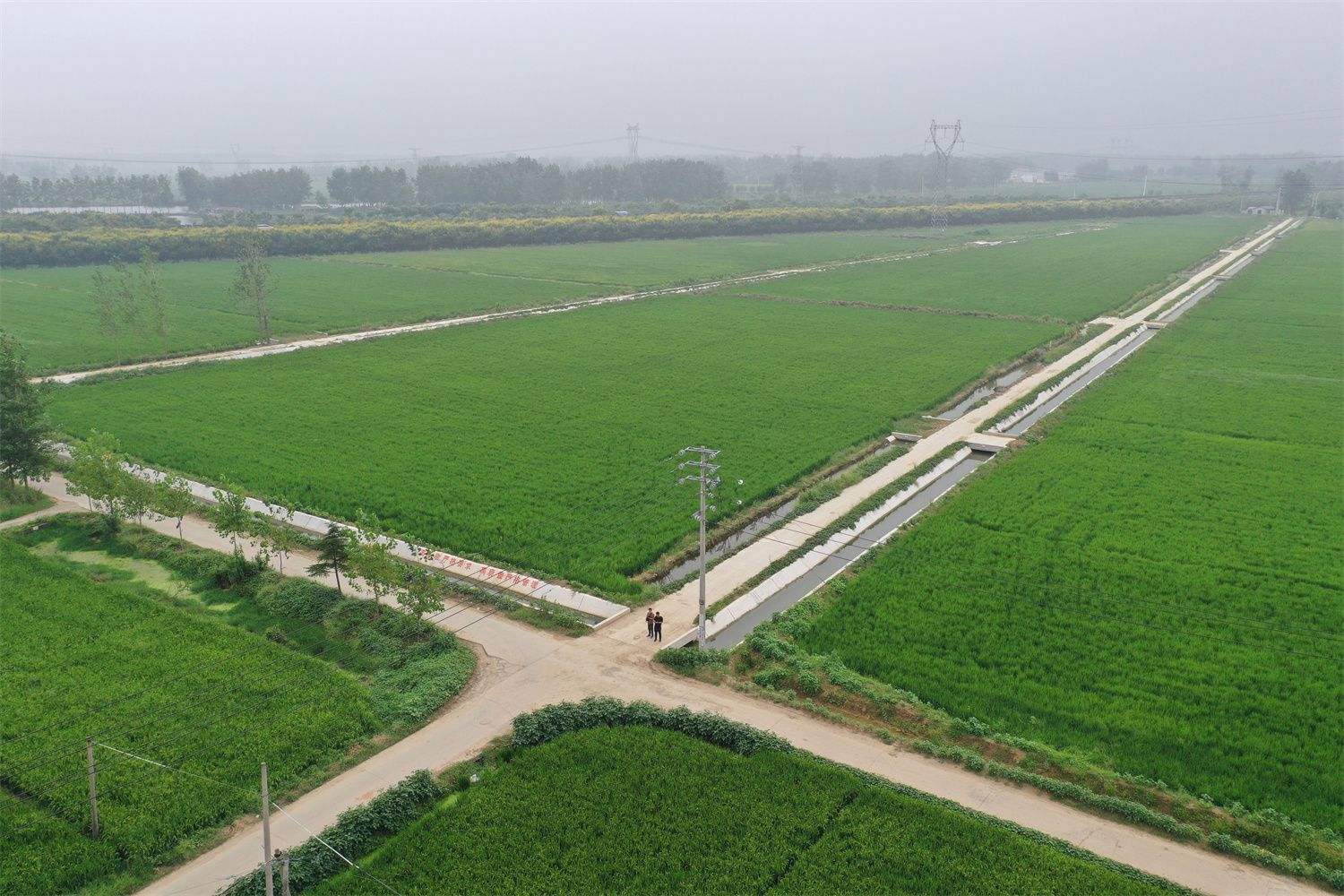 桂陽：10萬畝高標準農田建設忙 夯實鄉村振興“耕”基