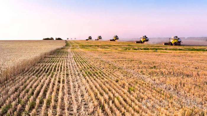 藤縣計劃秋冬種農作面積約35萬畝 讓冬閑田變成豐收田