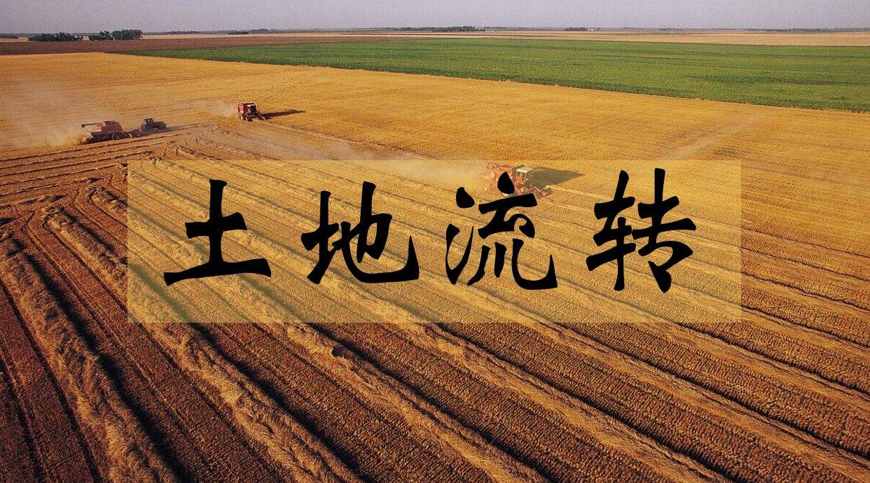 天津濱海新區(qū)：土地流轉(zhuǎn)進場交易讓村集體和村民雙受益