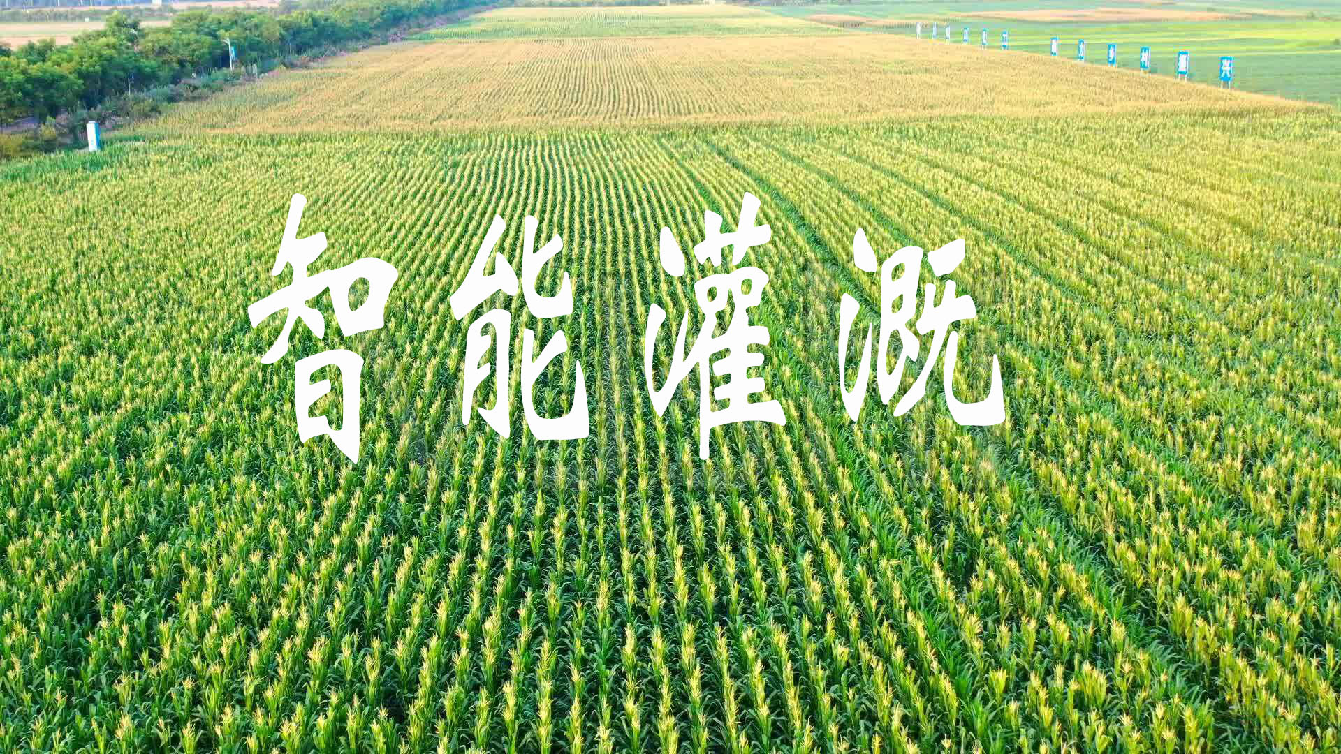 水肥一體化技術(shù)的疑問及解答