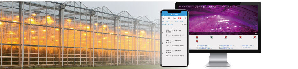 智能大棚自動(dòng)補(bǔ)光