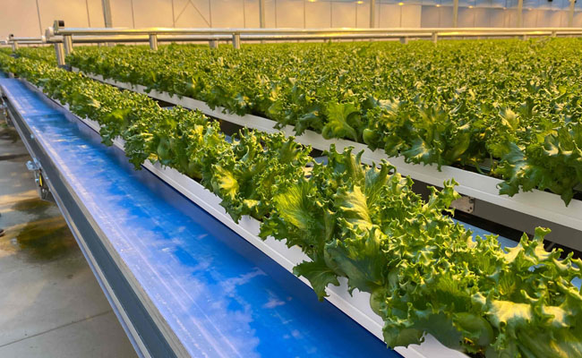 管道輸水技術(shù)