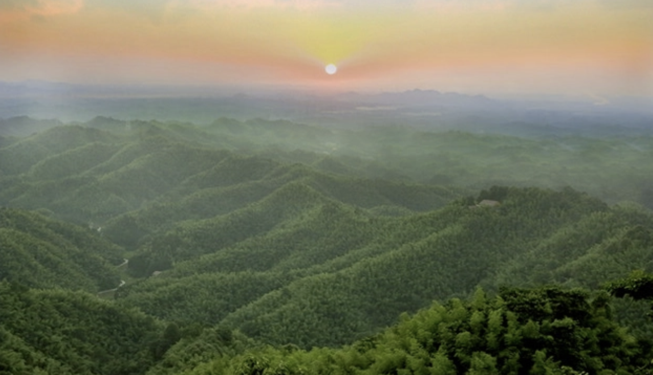 堅持整體聯動，打造“關注點”