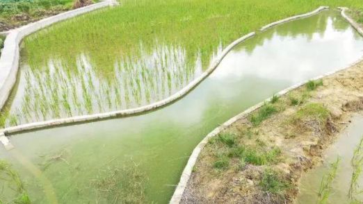 產(chǎn)業(yè)升級(jí)