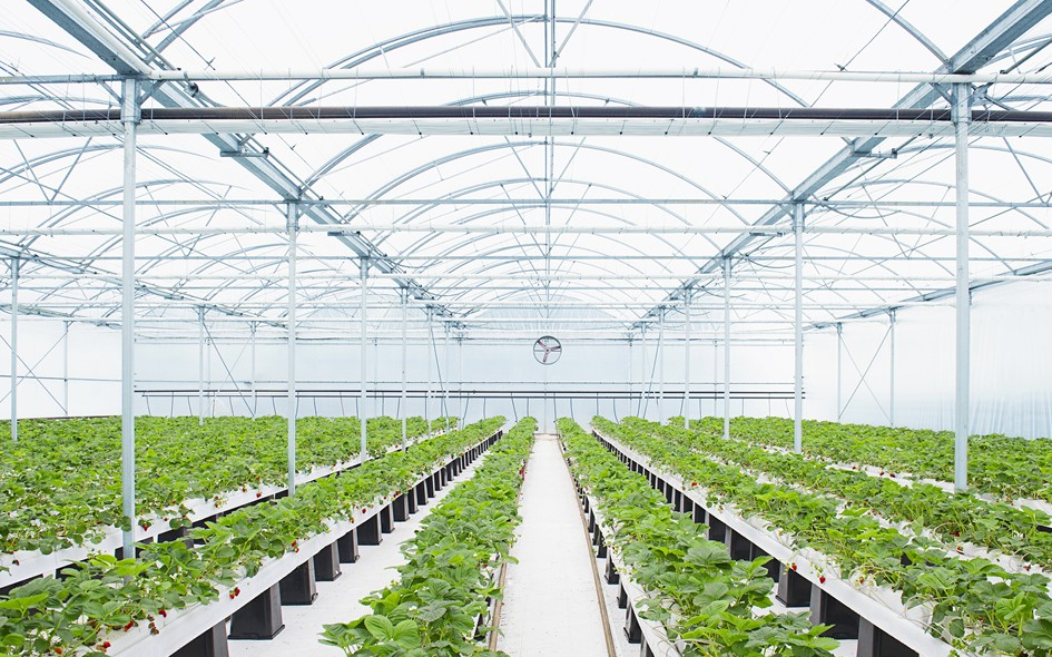 智能溫室大棚