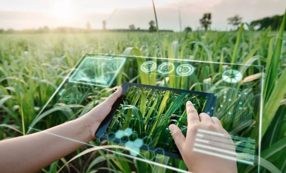 信息化監(jiān)測