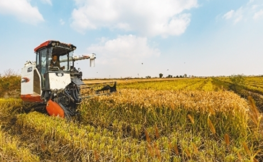 大石橋市高坎鎮前中村村民正在機械化收割水稻