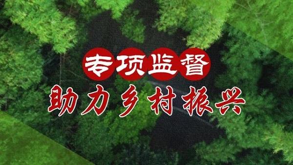 九龍坡推進高標準農田建設 助力鄉村振興