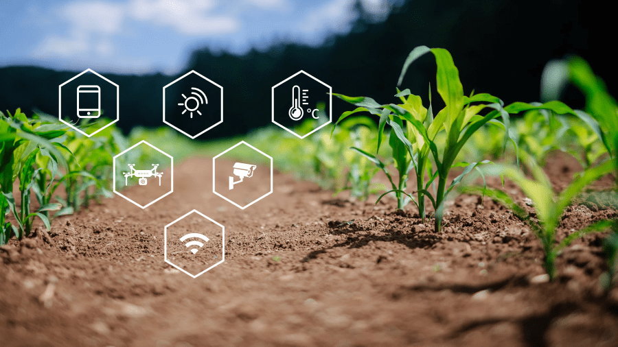 智能農(nóng)業(yè)能做什么